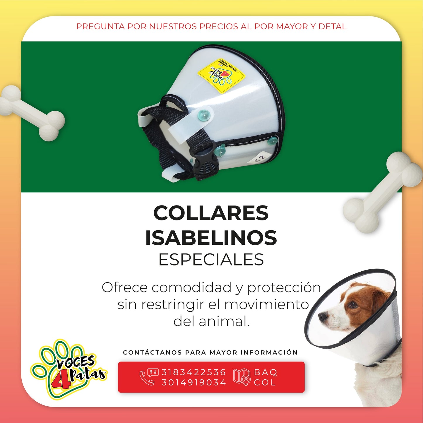 COLLAR ISABELINO ESPECIAL DE LA TALLA 01 HASTA LA 10