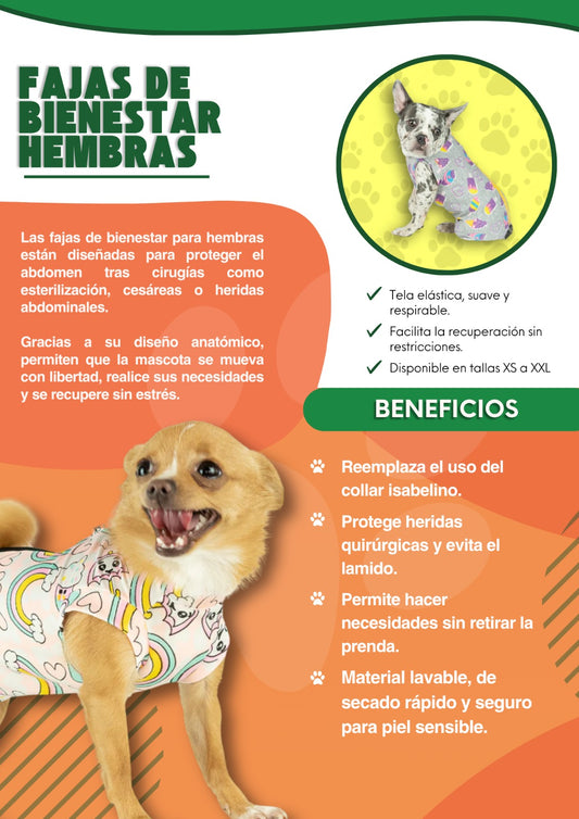 FAJA DE BIENESTAR HEMBRA TALLA XS, S, M, L, XL Y XXL